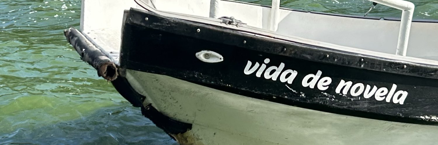 robertavertuani's profile banner image