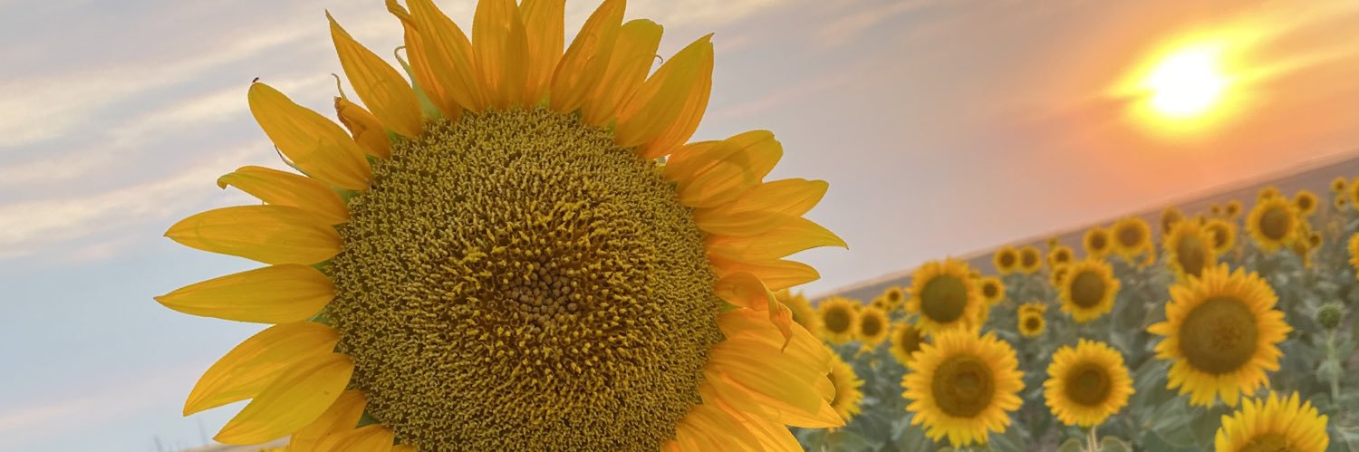 JessicaZubrod's profile banner image