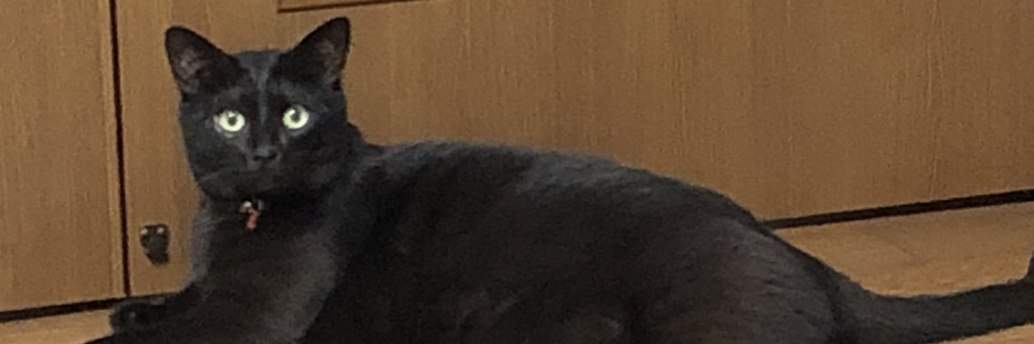 sinarbulan's profile banner image
