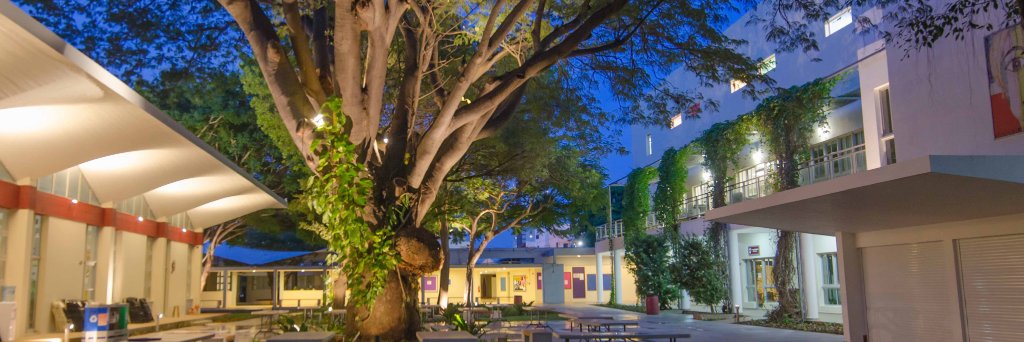 Carol Morgan School banner