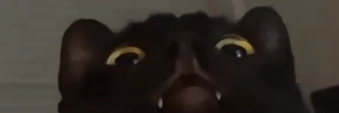 OR | BBASJTR banner