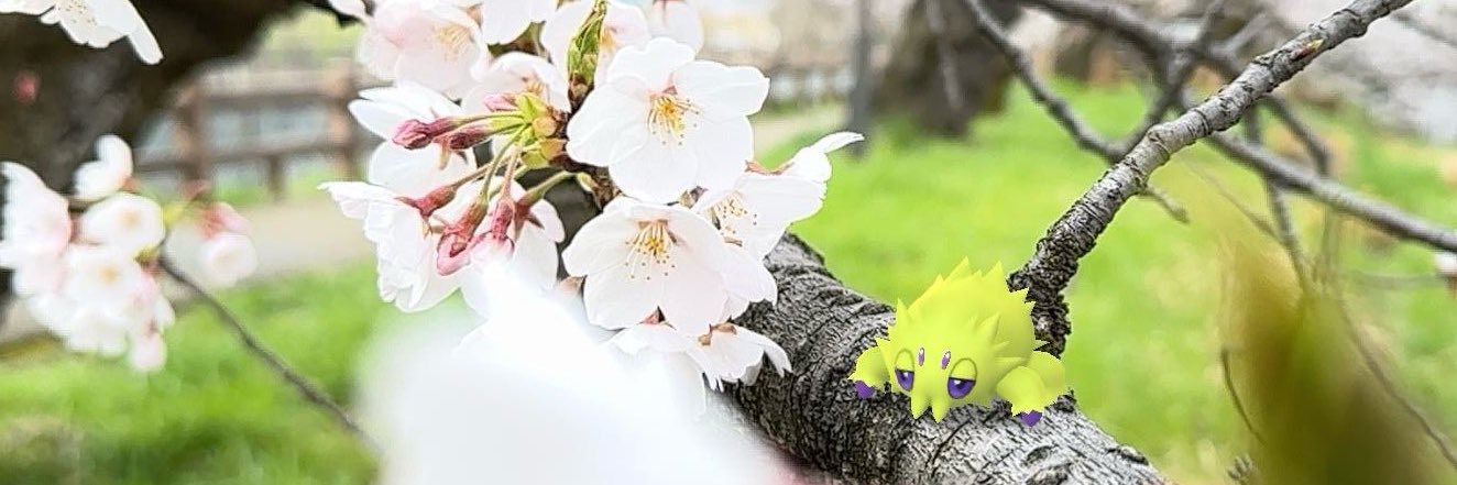 TAKA-RV@AR(+T)📸GOsnapshot(るぷりすりーと)'s banner