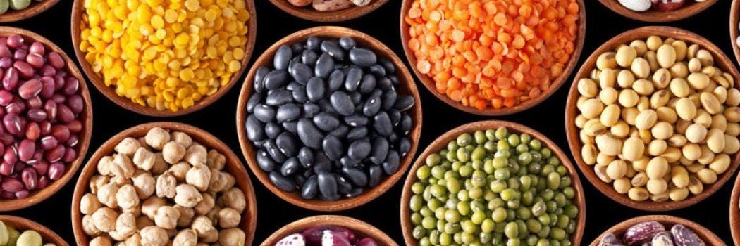 Daisy H Coyle banner