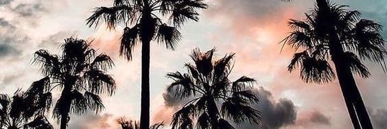 JazzDD97's profile banner image