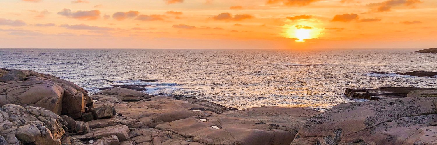 Louise Lennersten banner