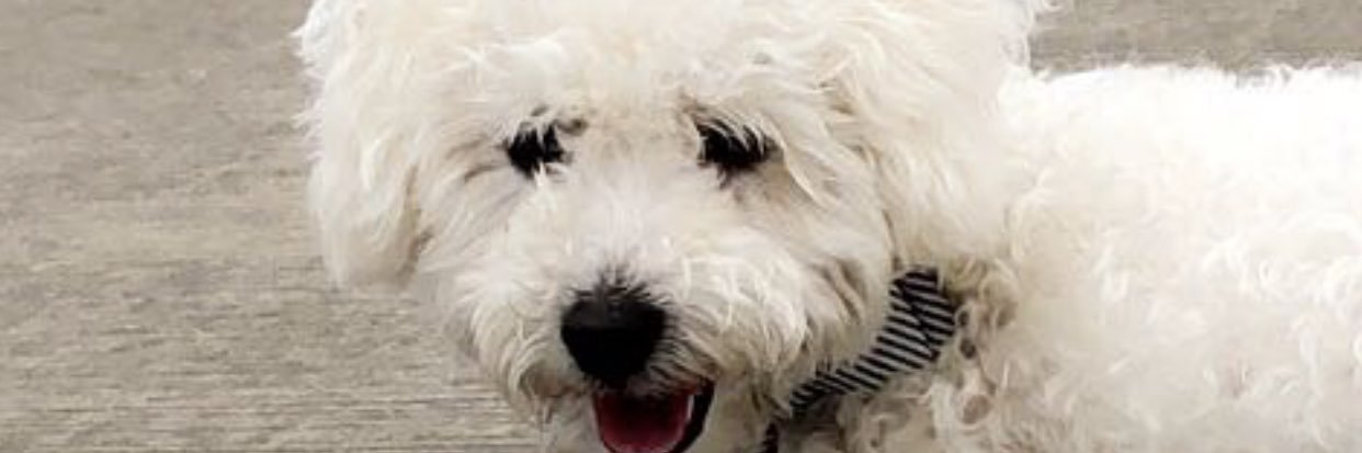 Nutt_Molly7's profile banner image