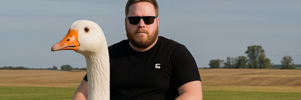FlashChastain11's profile banner image