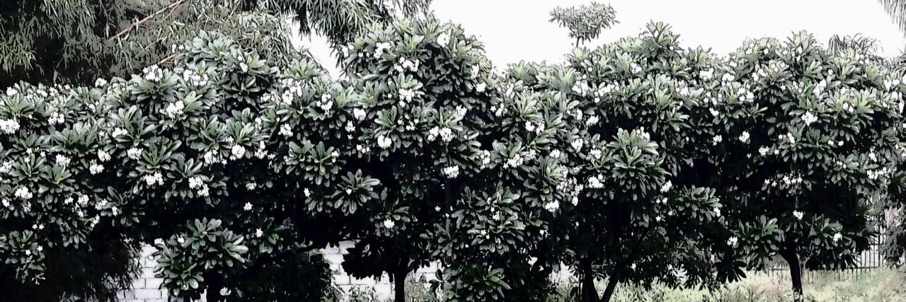 kartikhld's profile banner image