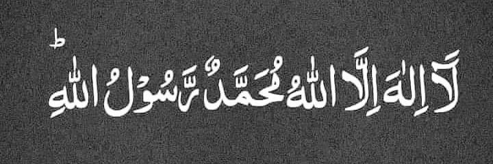 Nasir Ahmed Bala banner