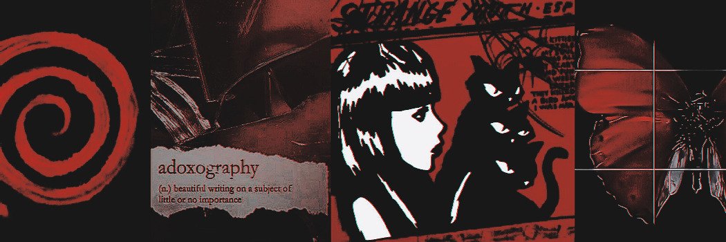 allyshzz's profile banner image