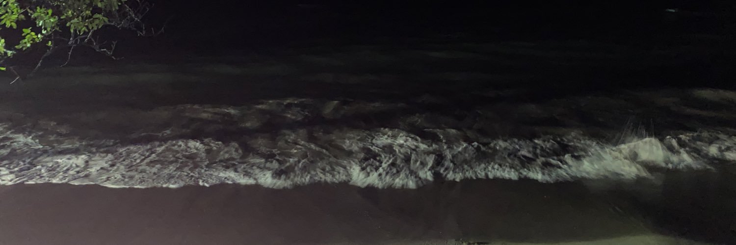 pretty0220's profile banner image