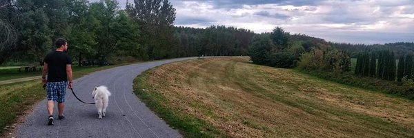 MrKrisWhyNot Profile Banner