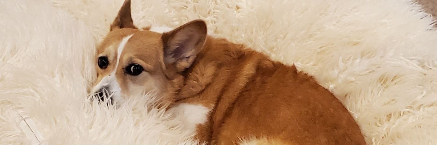 Hobbegger's profile banner image