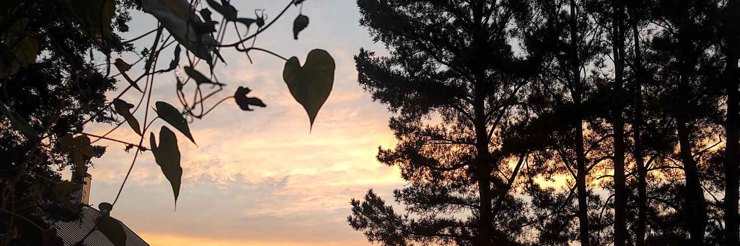 Heidiweaver7's profile banner image