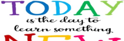 Timbertree Year 2 banner