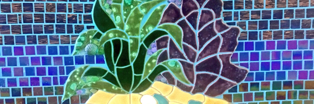 soycamo's profile banner image