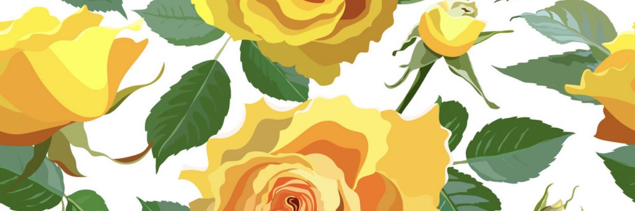 AllisonWichman's profile banner image