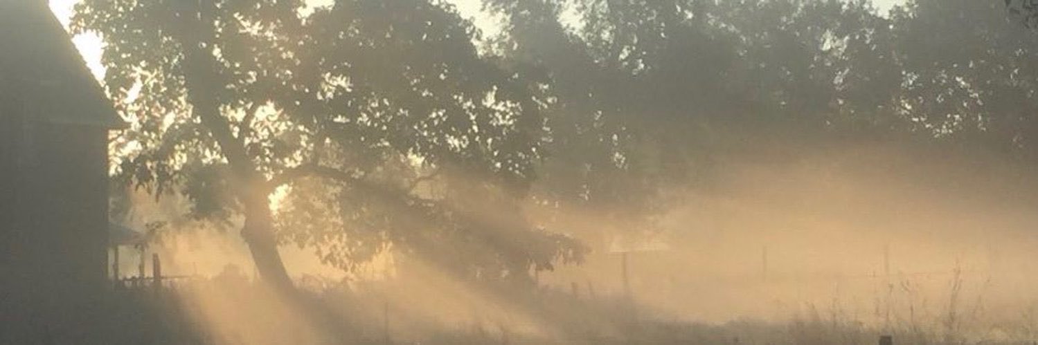 iiangel0's profile banner image