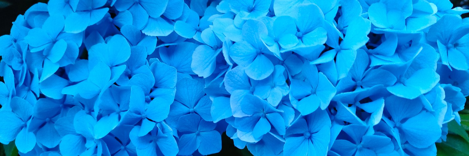 simadora's profile banner image