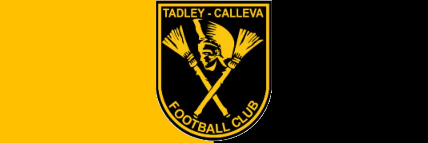 Tadley Calleva Youth banner