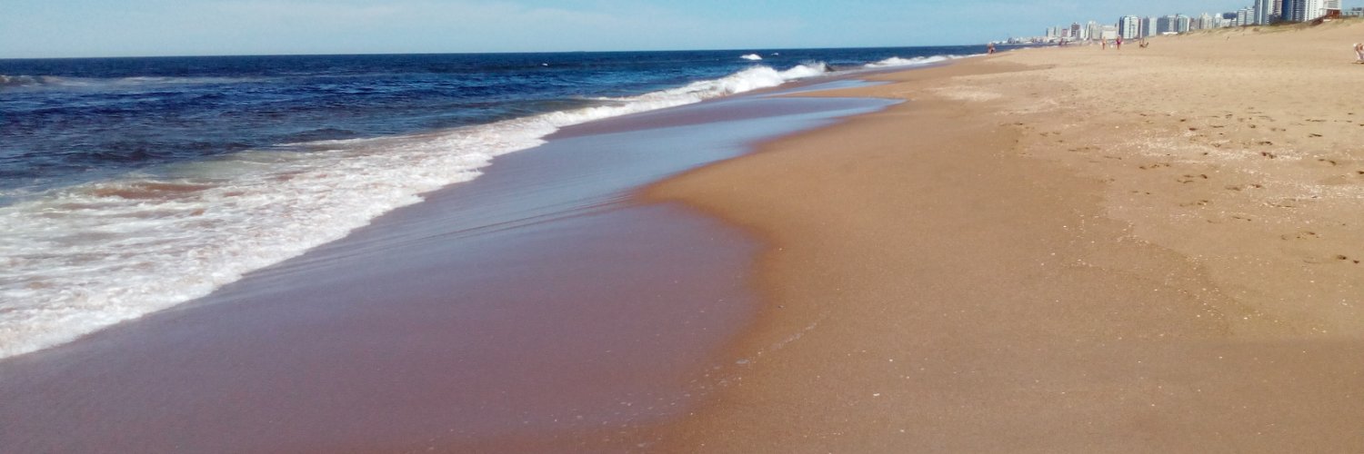 carlossaccone's profile banner image
