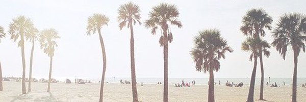 caseythurston11 Profile Banner