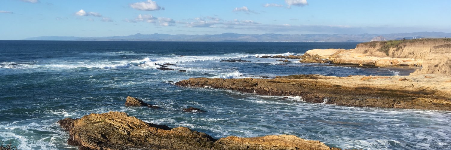 Emma Radovich banner