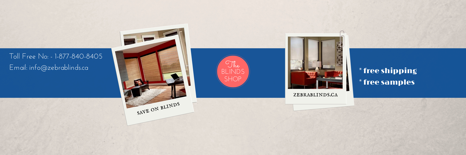 Zebrablindsca's profile banner image
