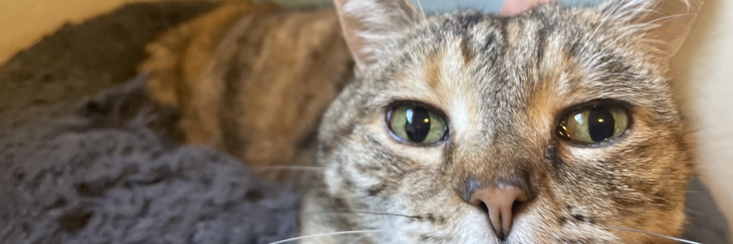 Claudio Elizalde banner