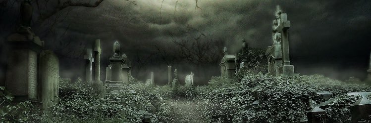OCDerek's profile banner image