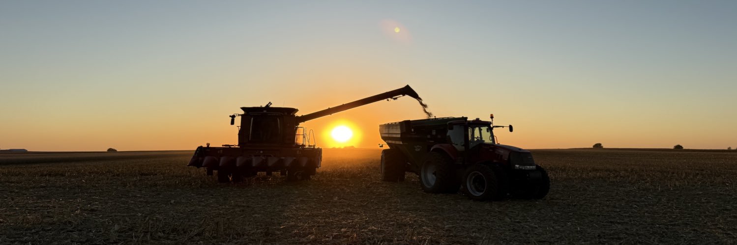 Mathias Hoffmann banner