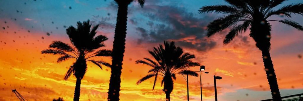 Riley_pattt's profile banner image