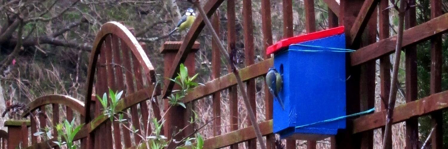 PetePunk77's profile banner image