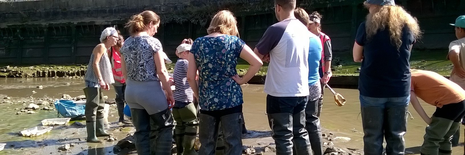 Across New Cross banner