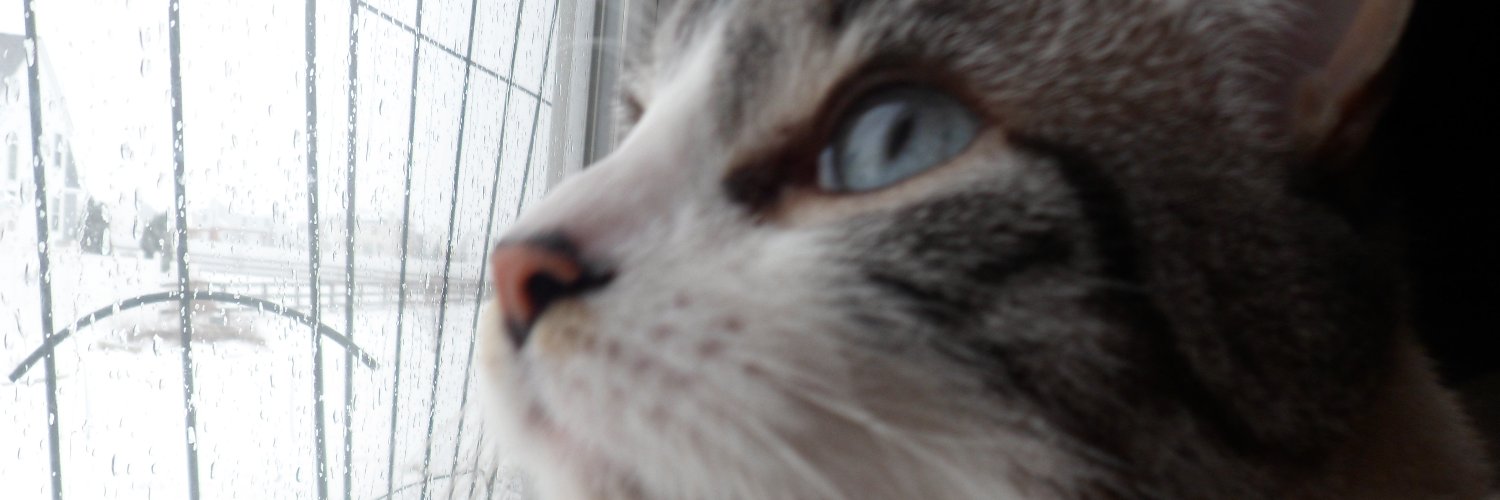 Awake_Aware17's profile banner image