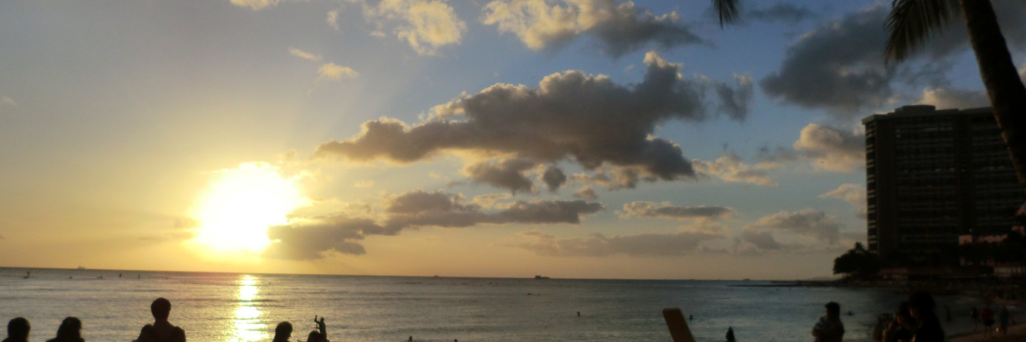 パラオがすき banner