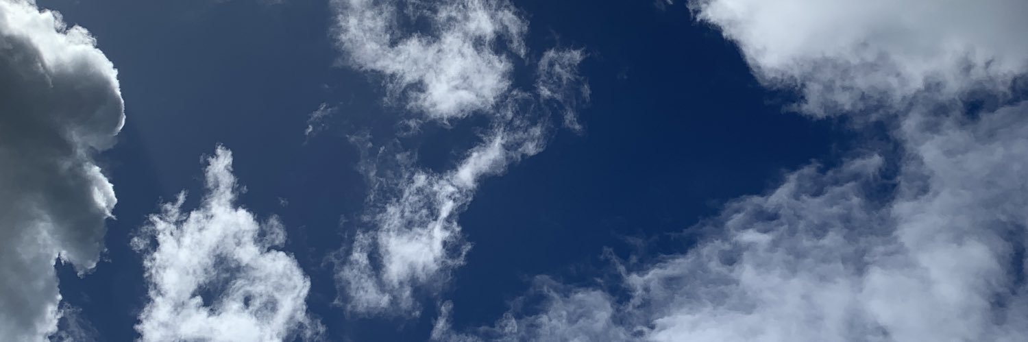 meninasuu's profile banner image