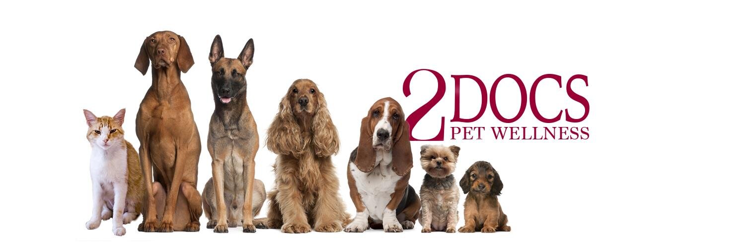 2DocsPet's profile banner image