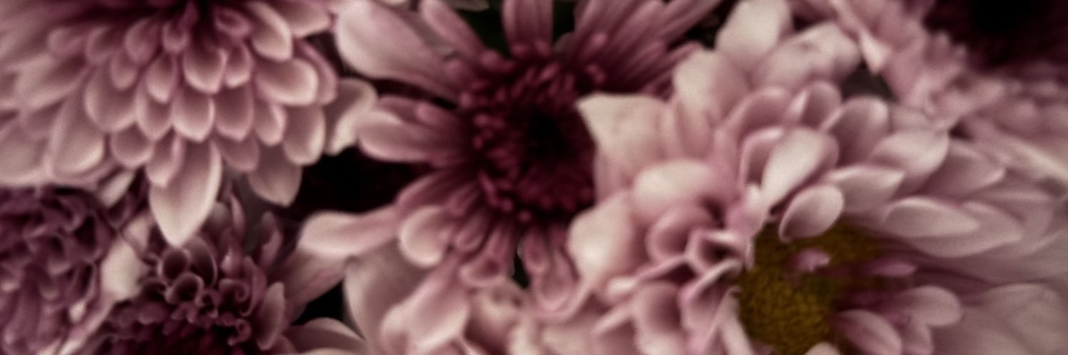Lau_Kalin's profile banner image