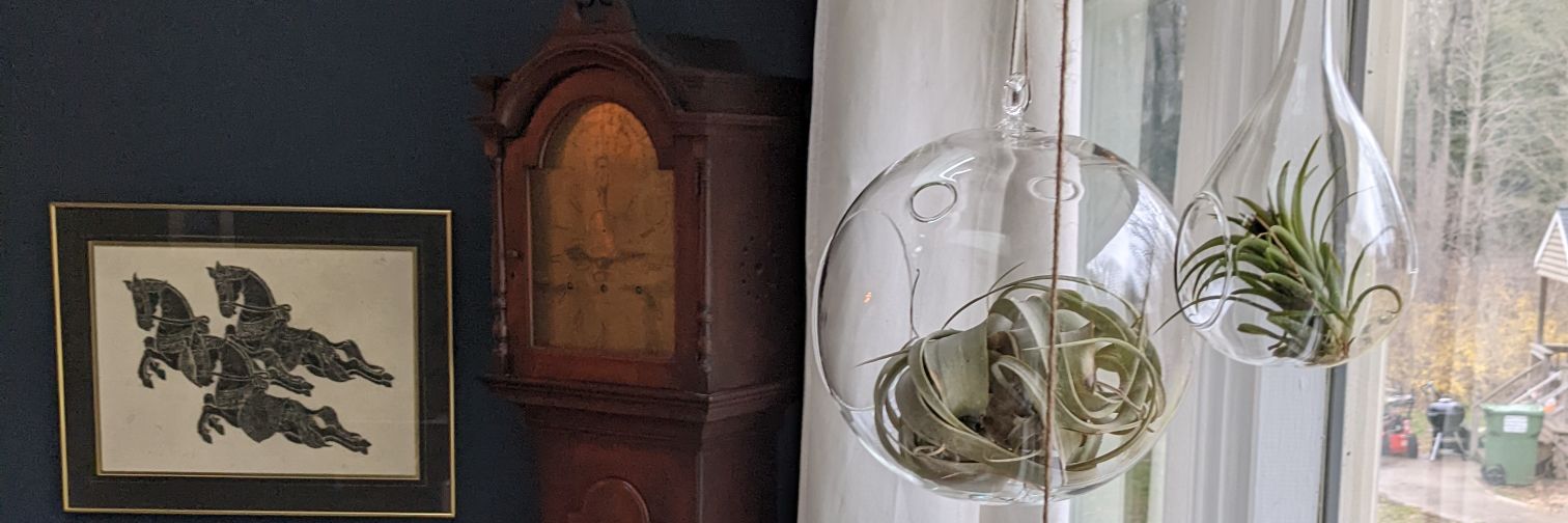 Jacquelyn Whiting (she/her) banner