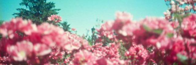 raudenyyys's profile banner image