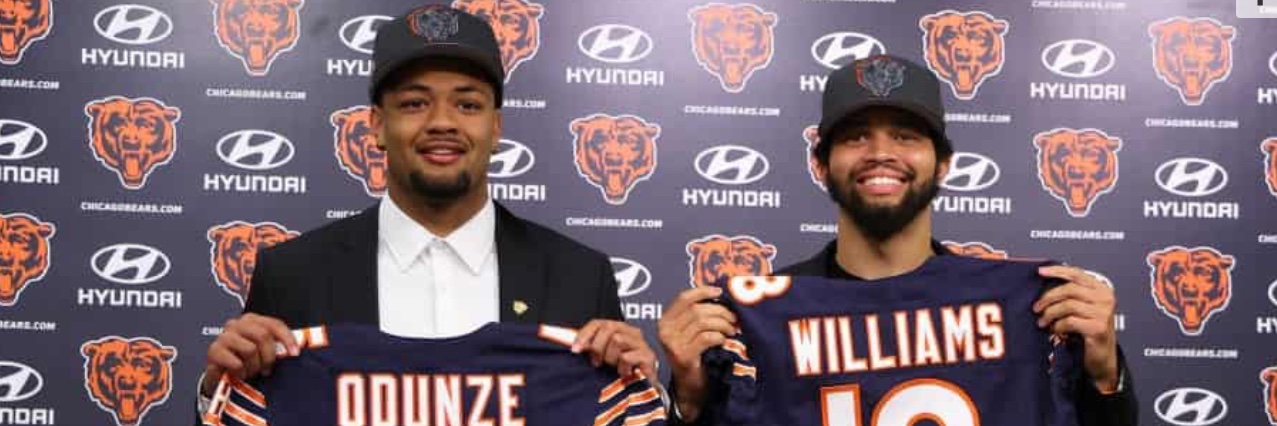 Bert W 🐻⬇️ banner