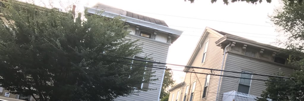 DanaCollopy's profile banner image