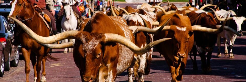 aatcfw's profile banner image