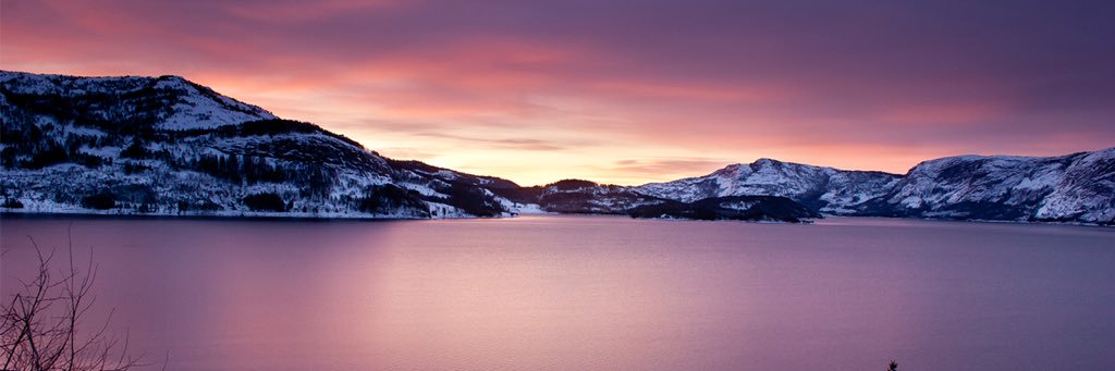 Wieksta's profile banner image