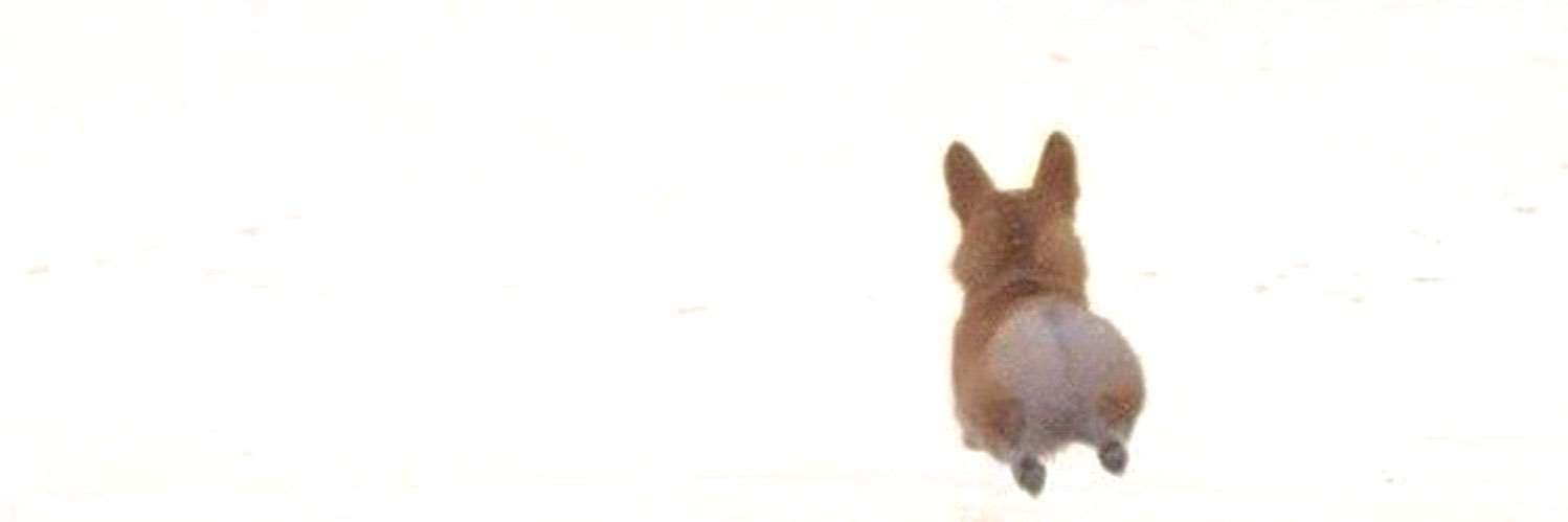 bbbuseaydin's profile banner image