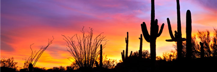 RealtorMaier's profile banner image
