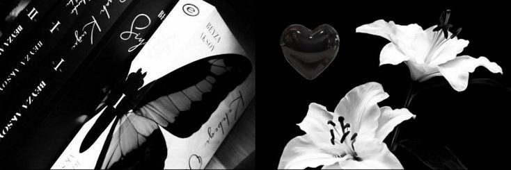 𝑬𝒊𝒍𝒆𝒊𝒕𝒉𝒚𝒊𝒂. banner