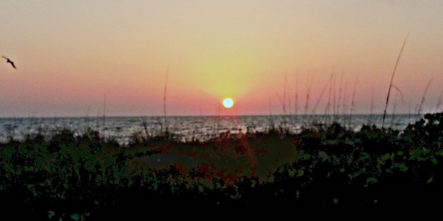 dfernandez00's profile banner image