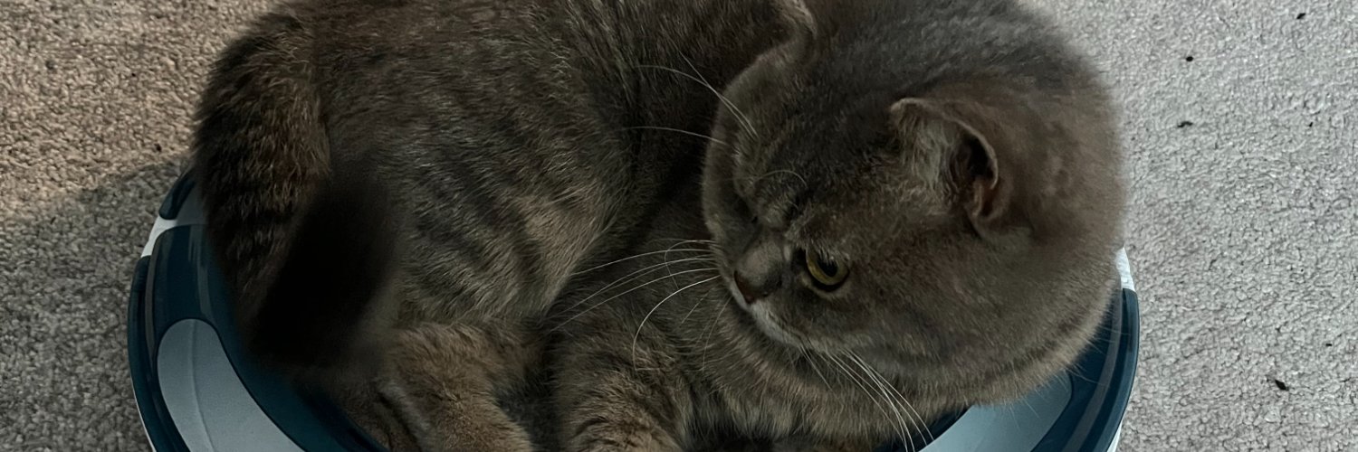 LaStippi2's profile banner image